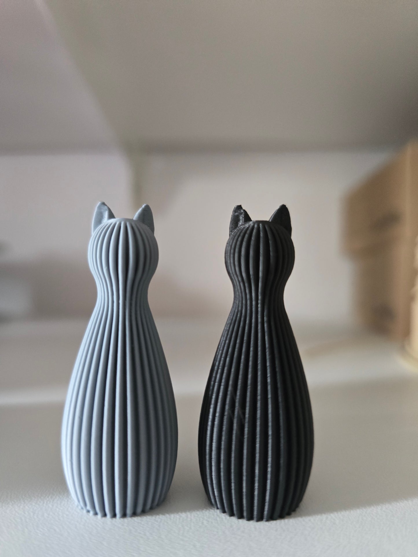 Kat/poes