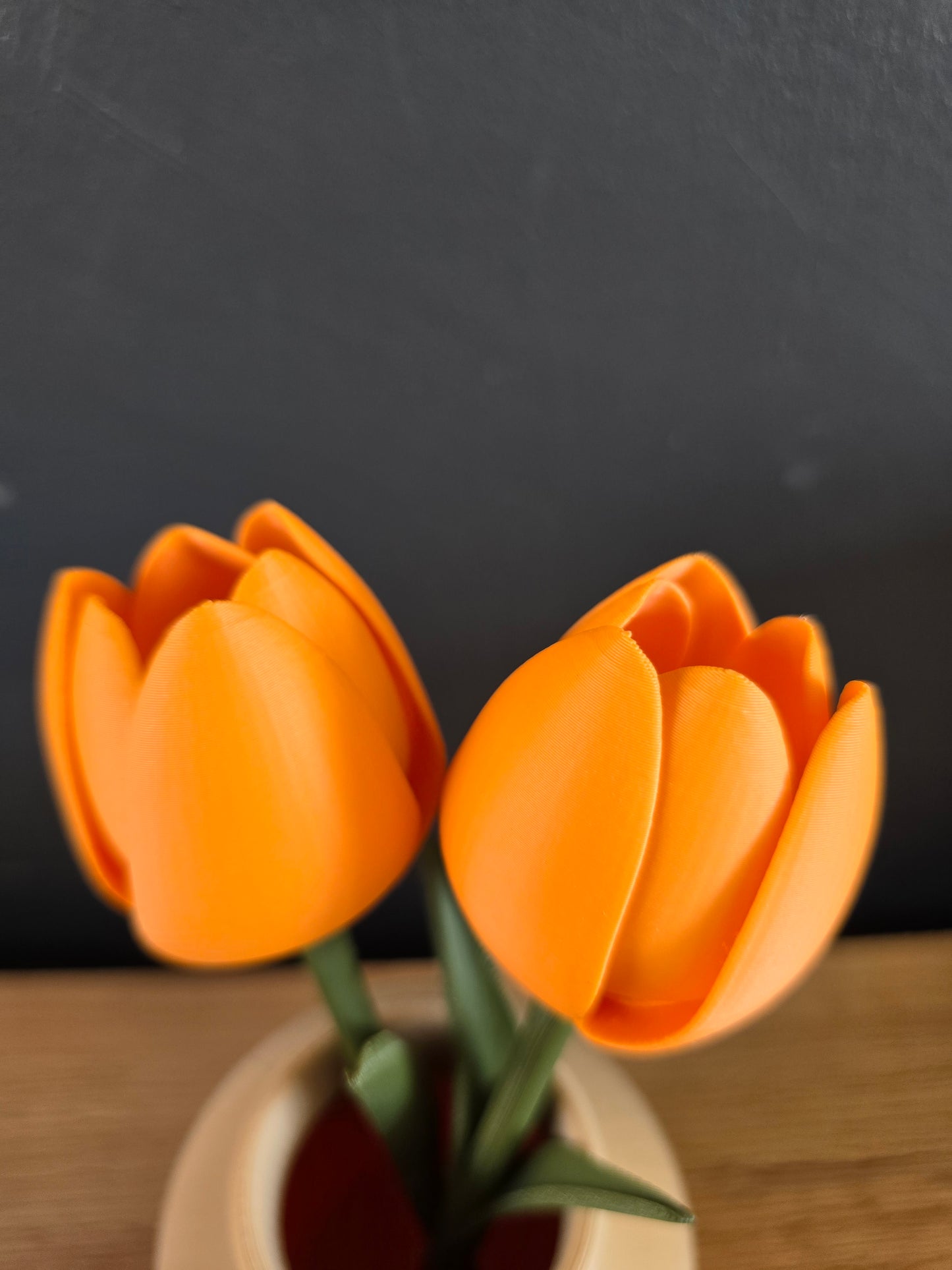 Speelse Tulpen