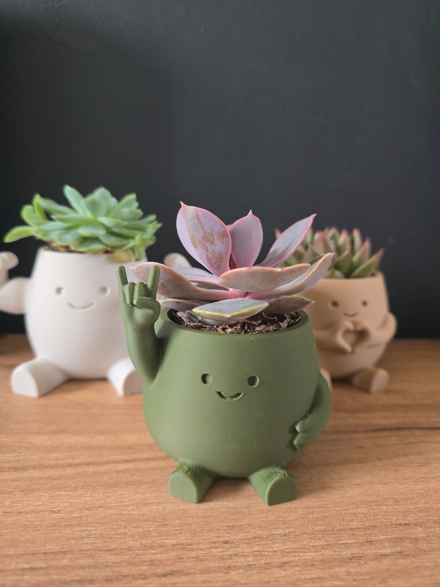 Rock Planter