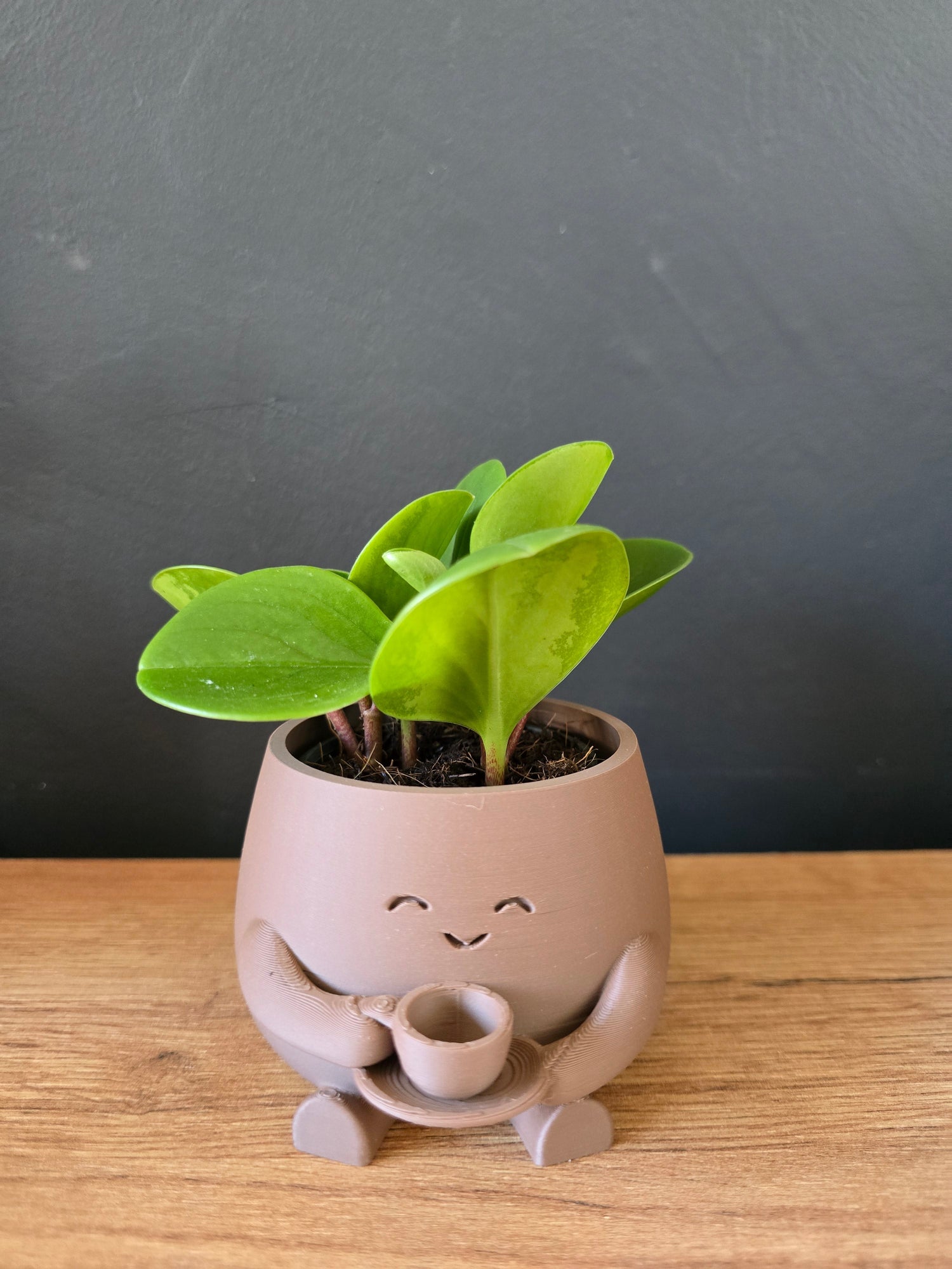 Planters