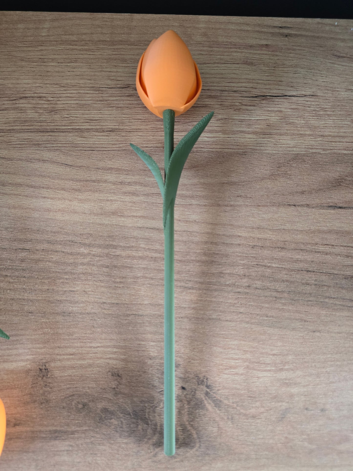 Speelse Tulpen