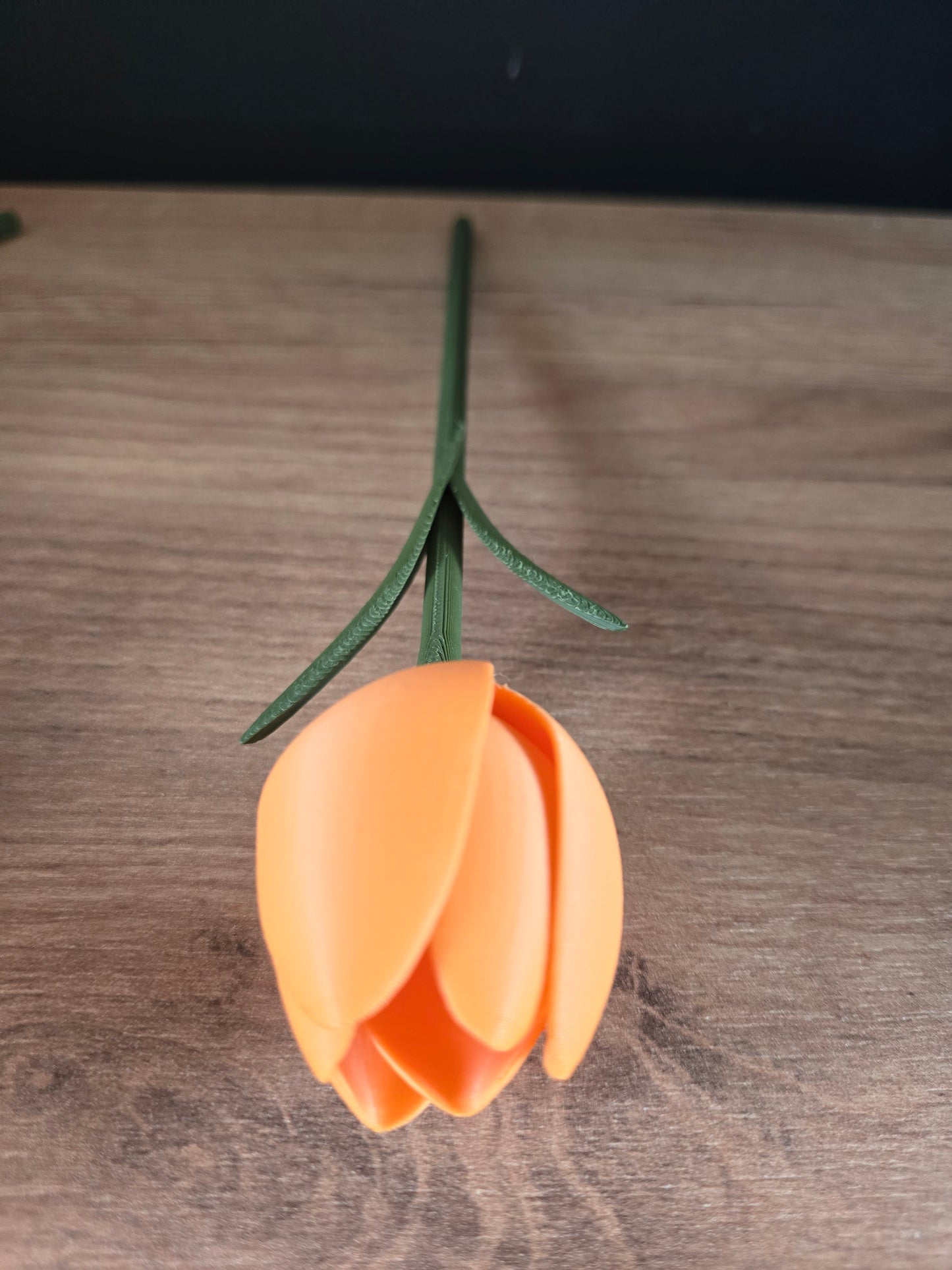 Speelse Tulpen