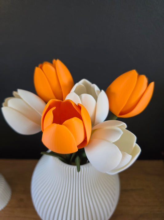 Tulpen Set (6 stuks) - verschillende kleuren
