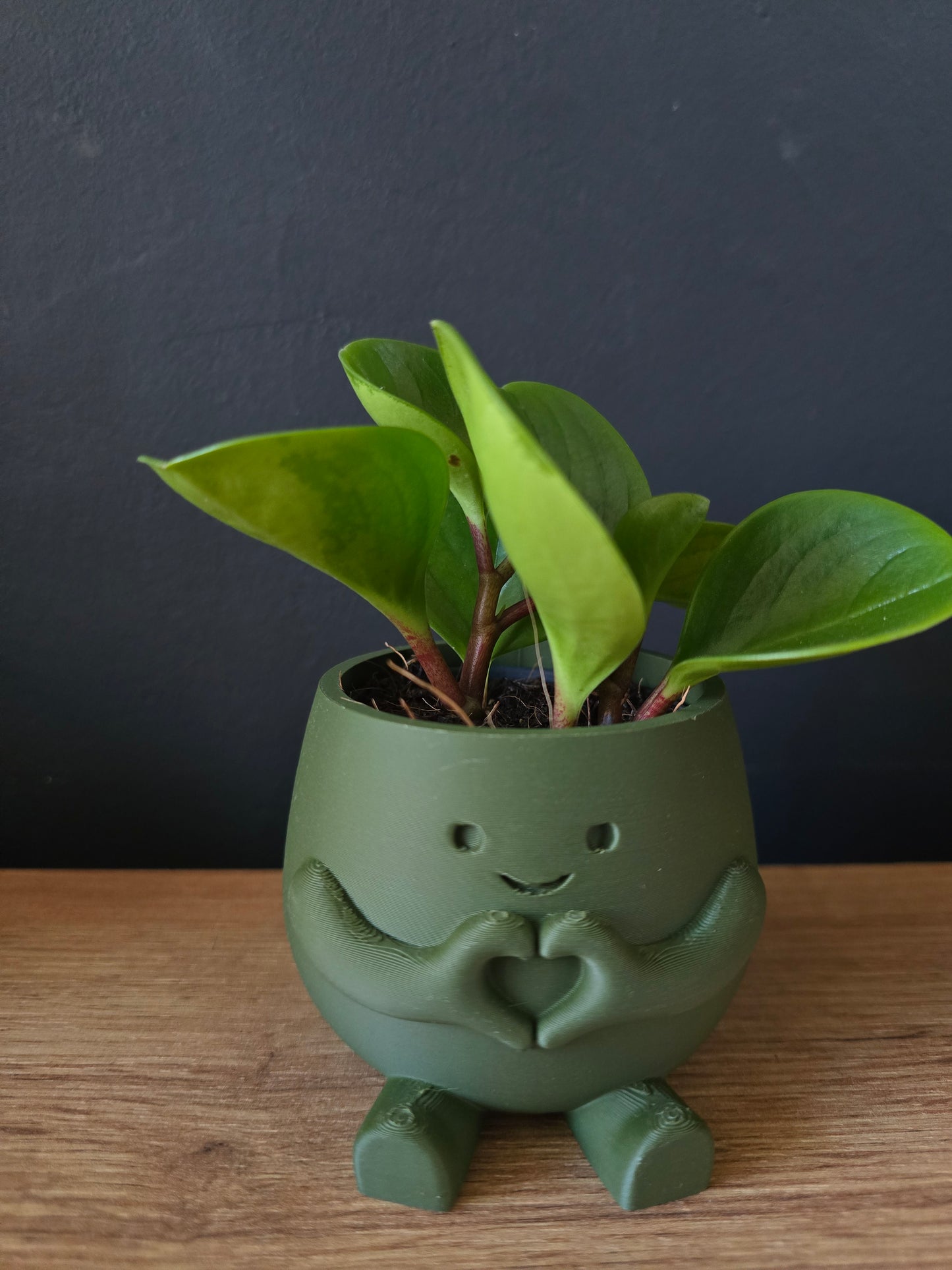 Planter Heart – gevuld met liefde