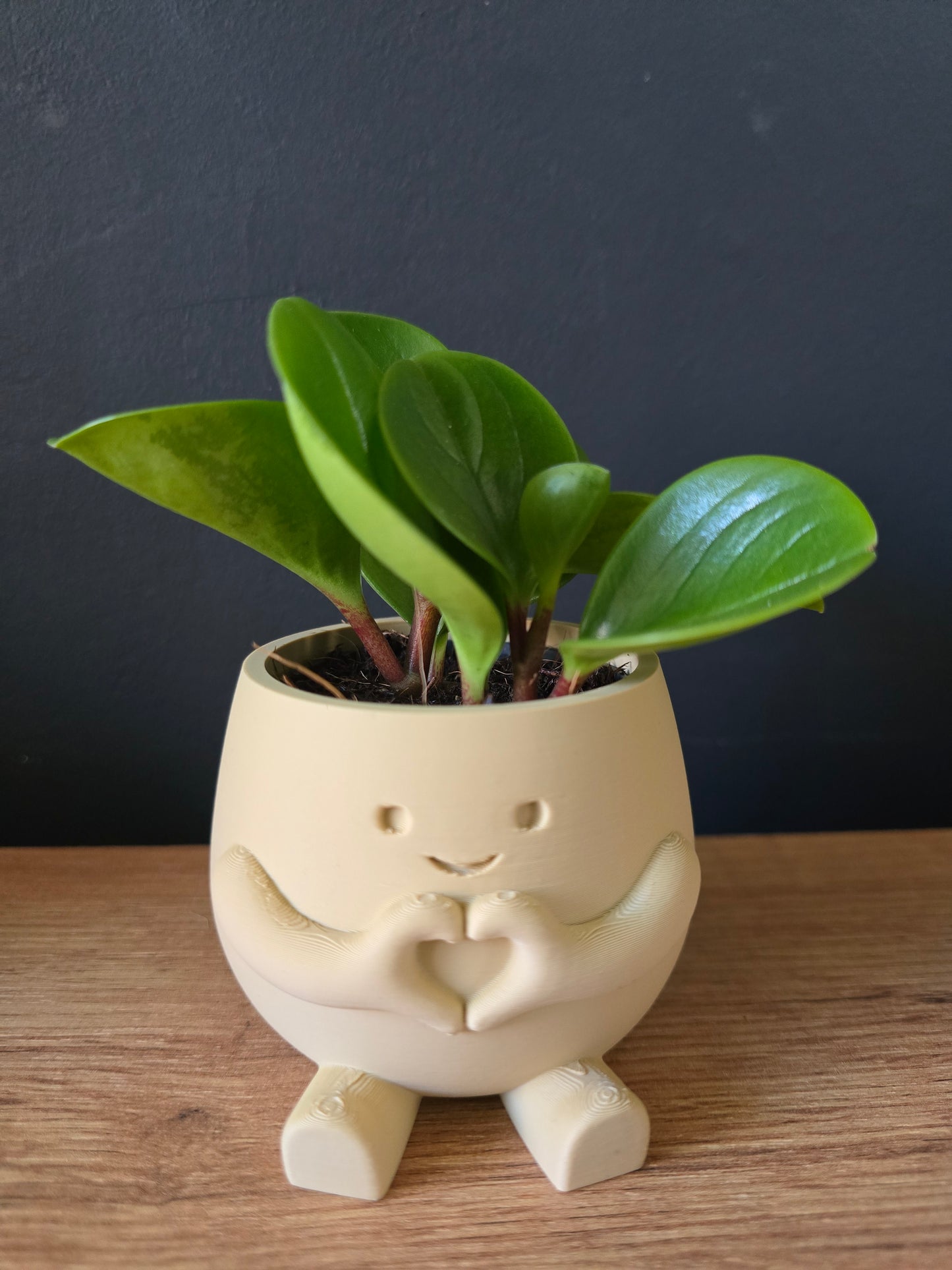 Planter Heart – gevuld met liefde