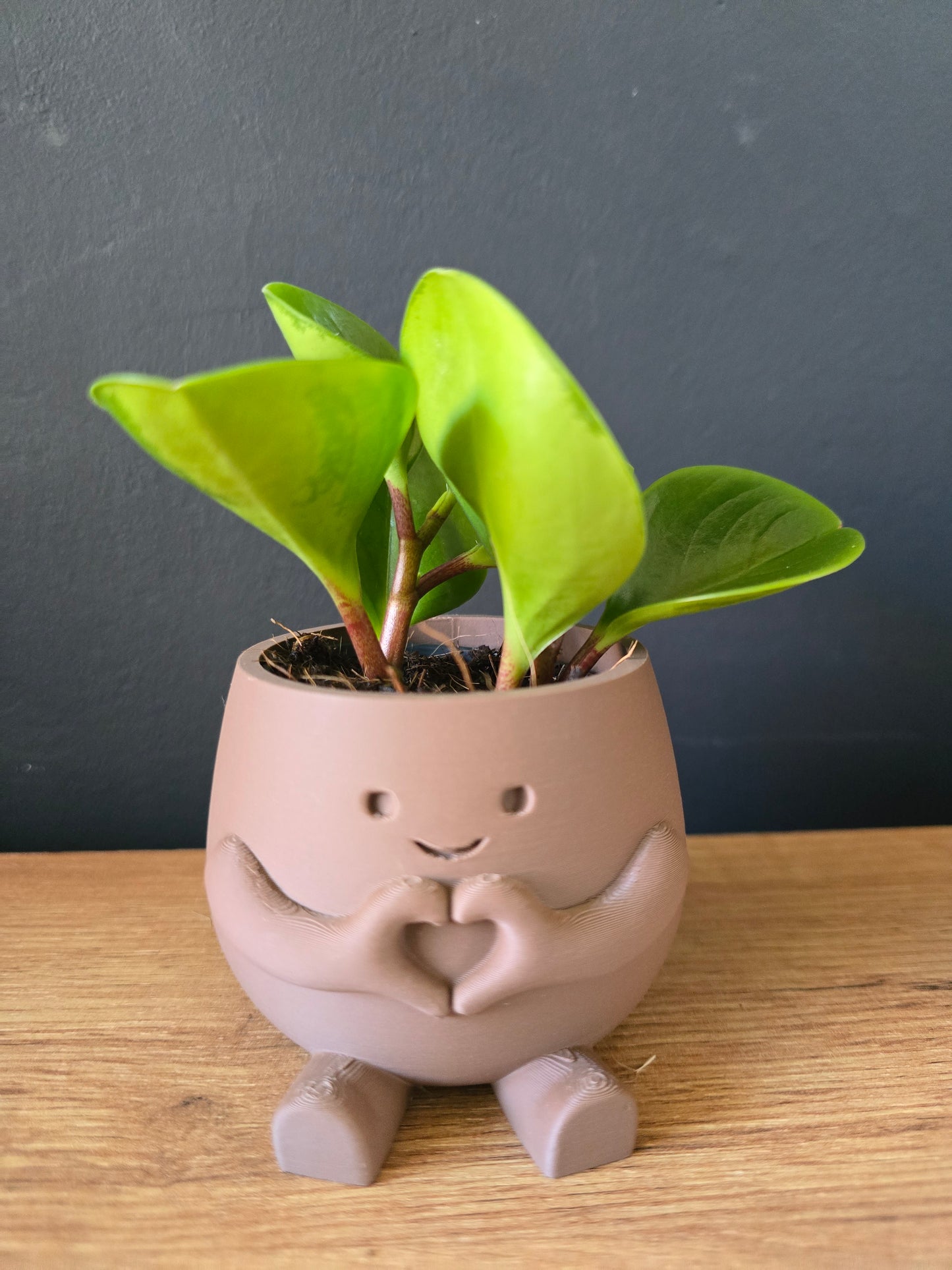 Planter Heart – gevuld met liefde