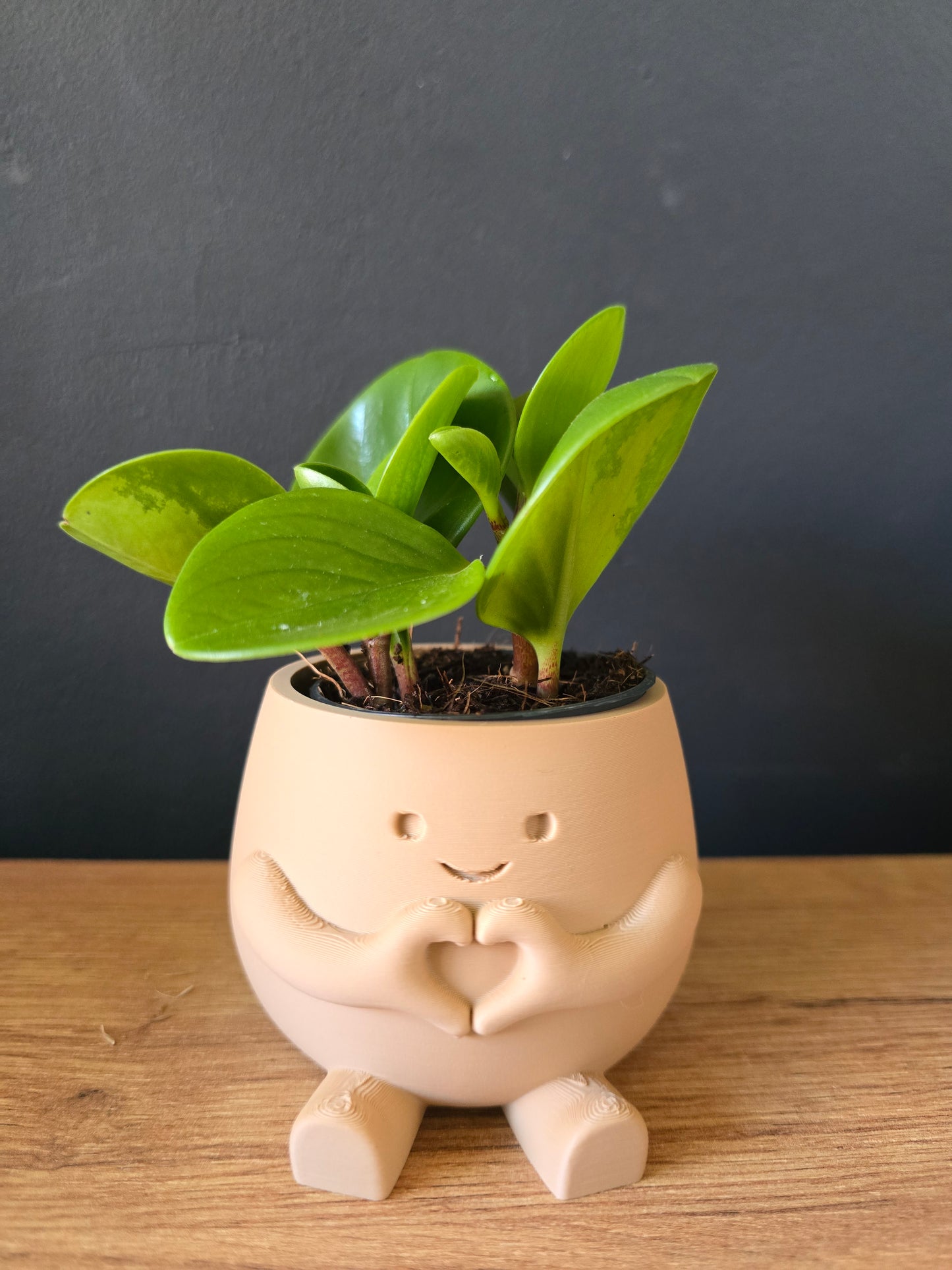 Planter Heart – gevuld met liefde