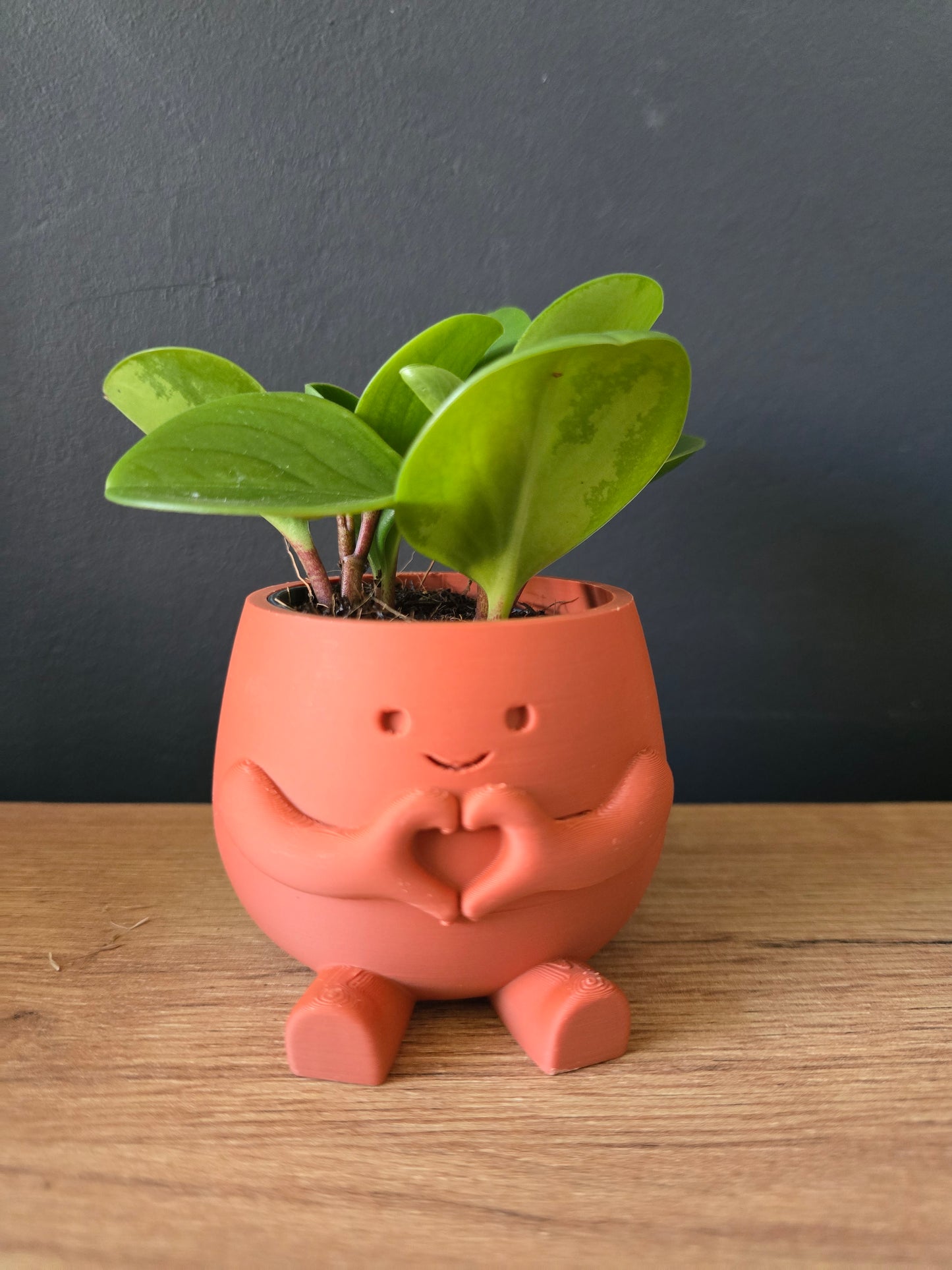 Planter Heart – gevuld met liefde