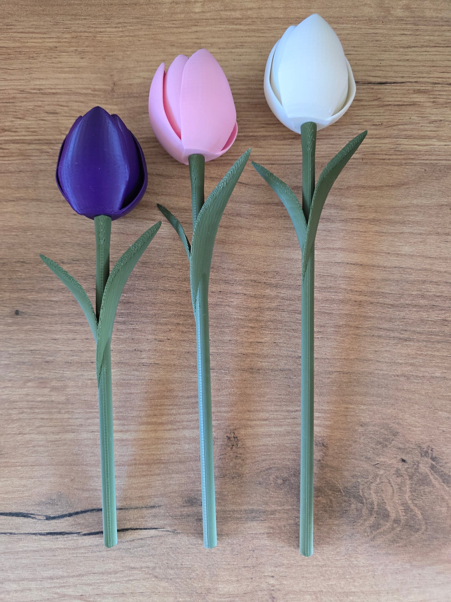 Speelse Tulpen