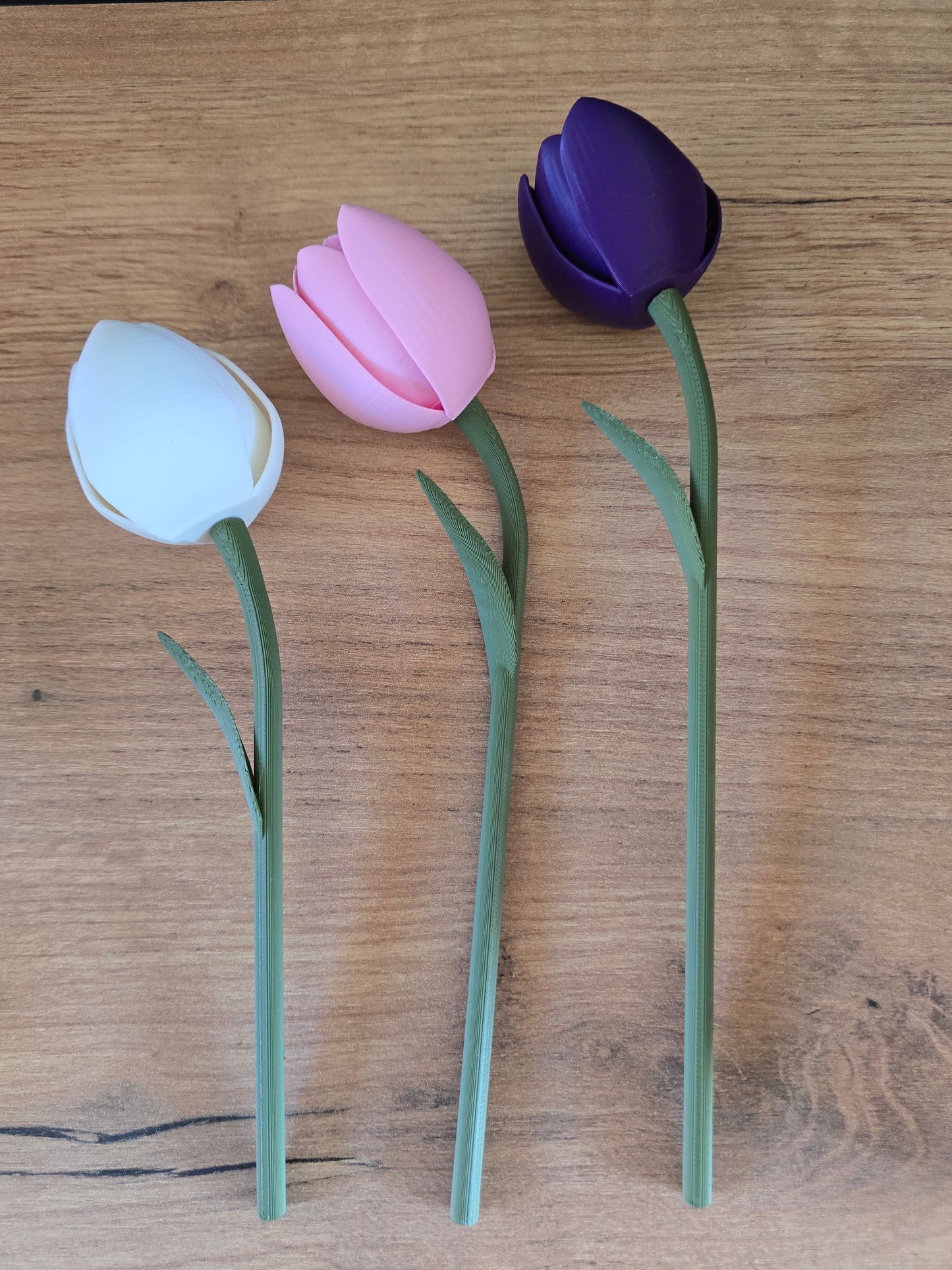 Speelse Tulpen