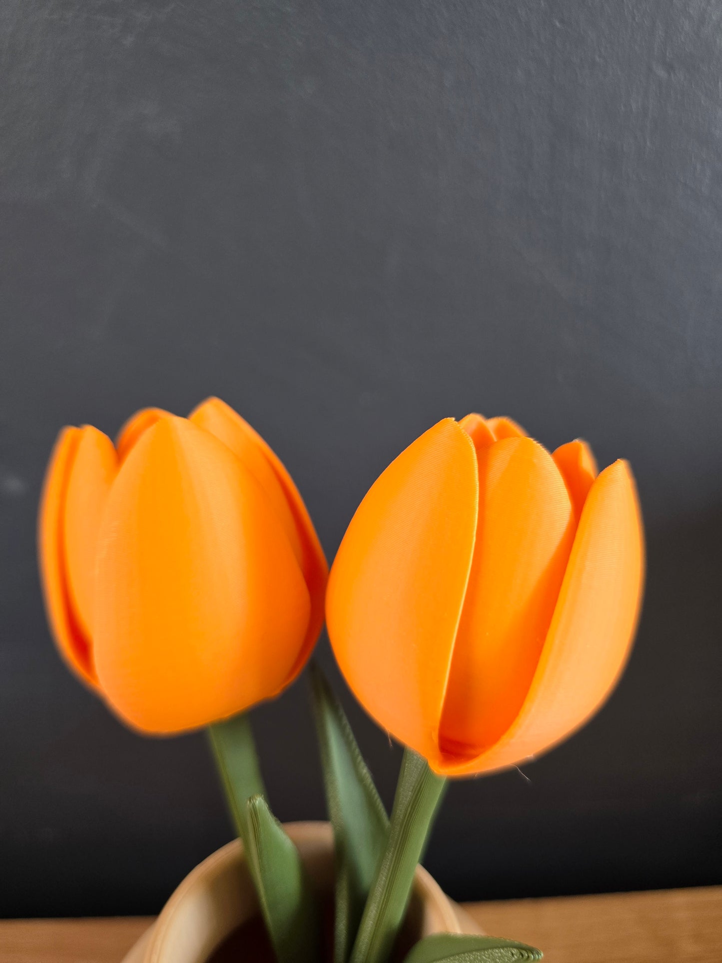 Speelse Tulpen