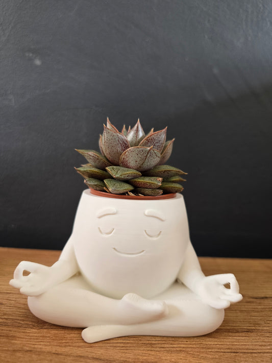 Zen Potje