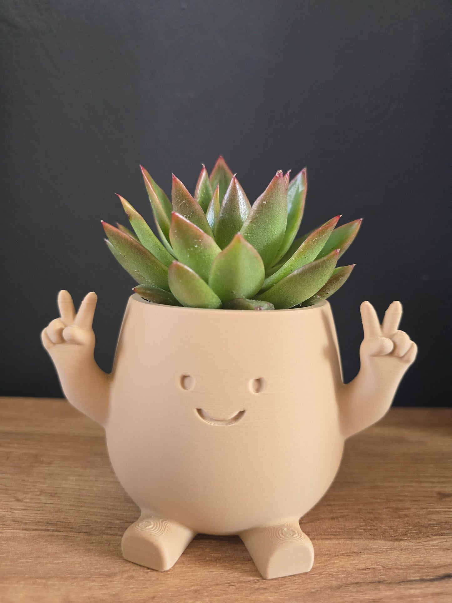 Planter Peace – klein potje met grote glimlach