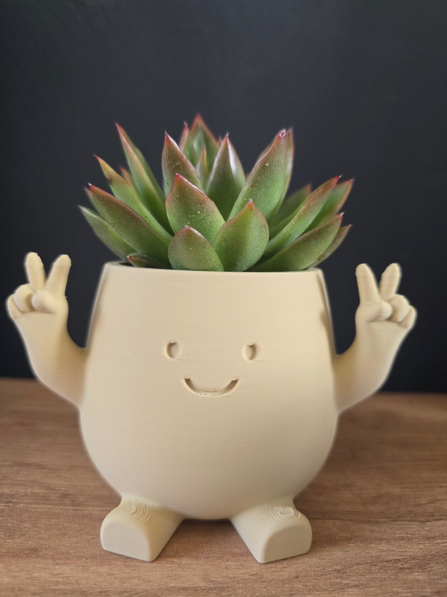 Planter Peace – klein potje met grote glimlach