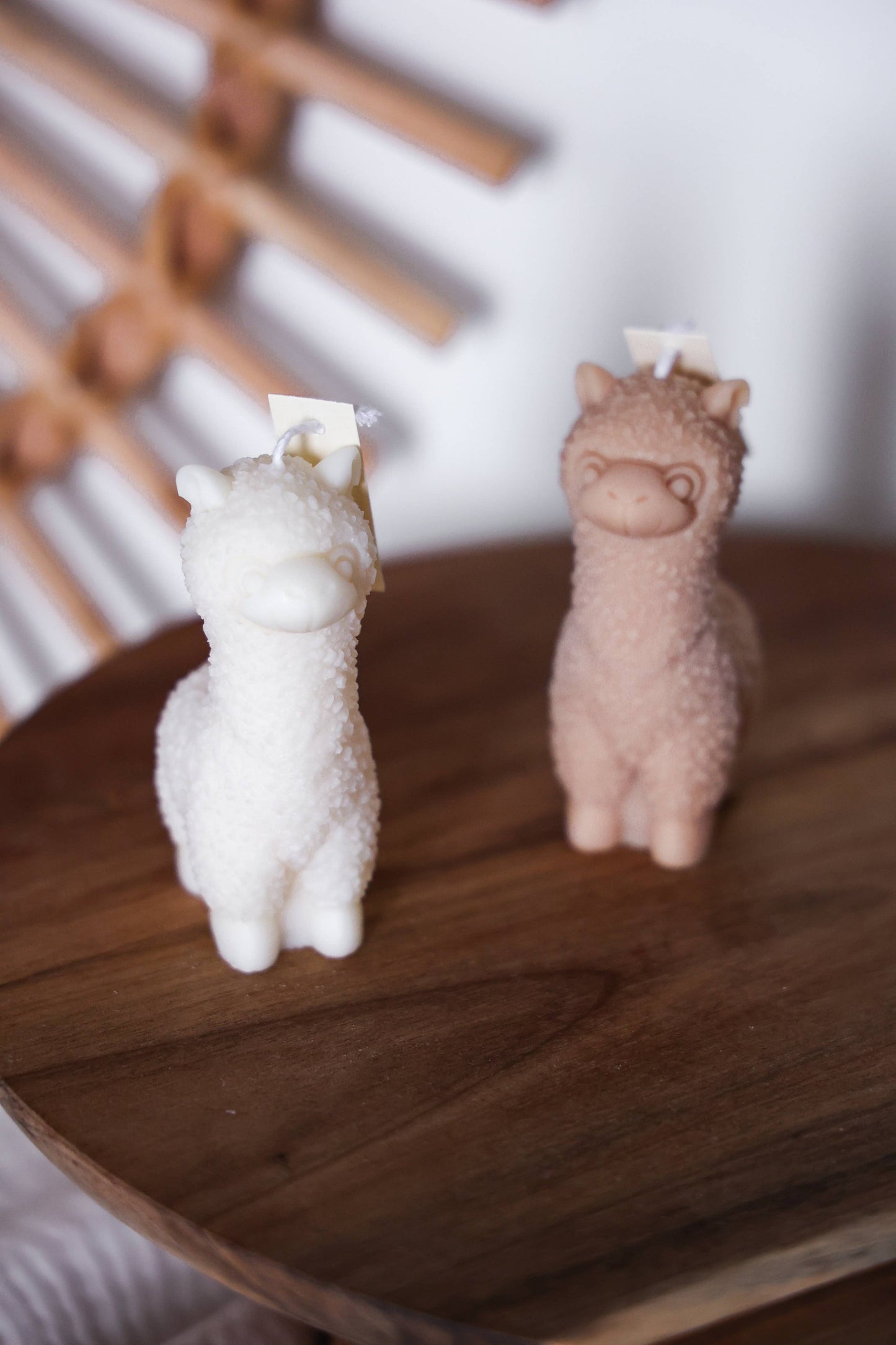 Niki Candle – Alpaca Kaars (Handgemaakt & Duurzaam)