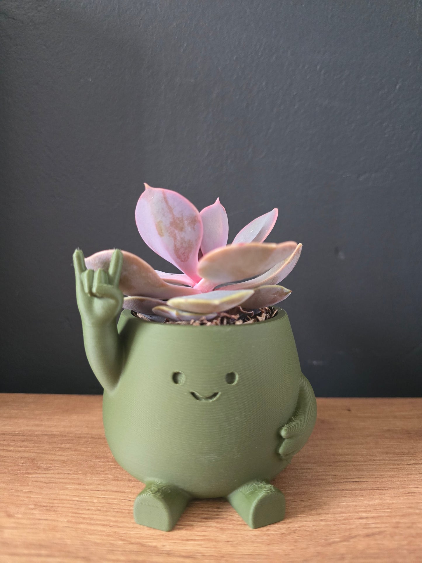 Rock Planter