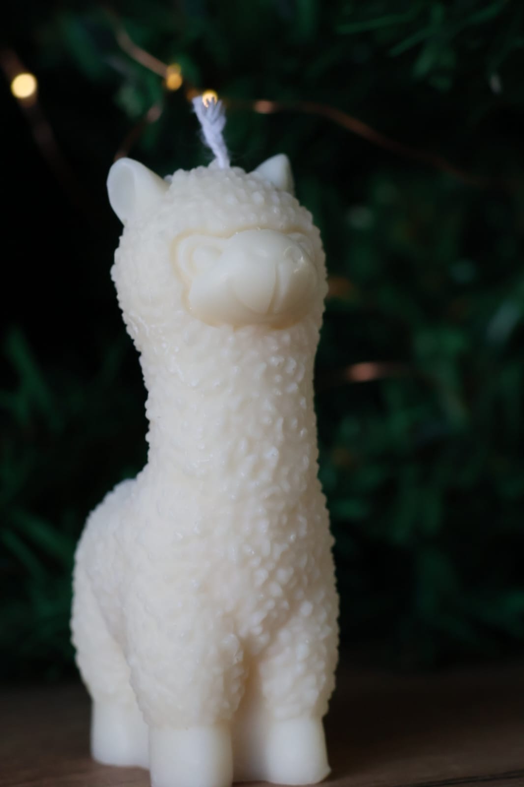 Niki Candle – Alpaca Kaars (Handgemaakt & Duurzaam)