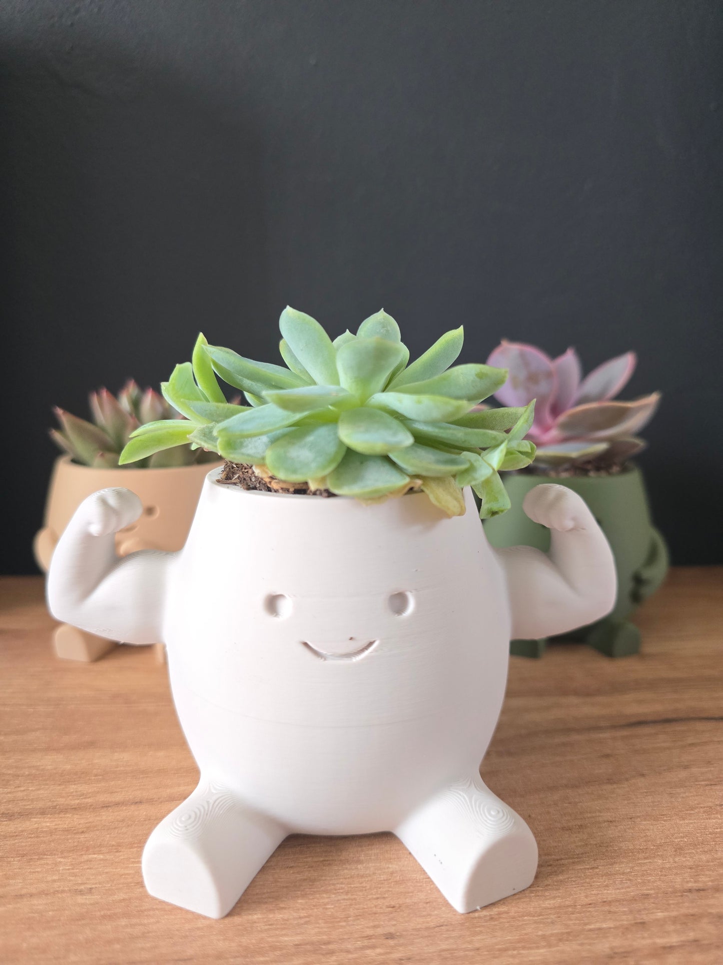 Kevin’s Mystery Potjesbox