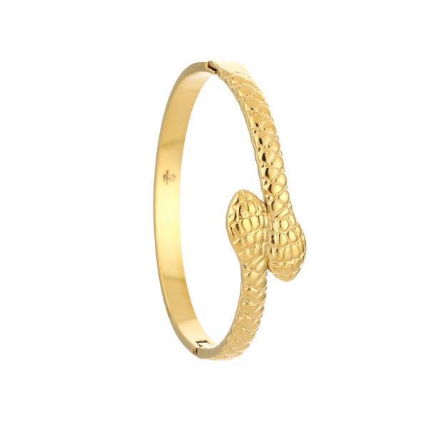 Snake Bangle